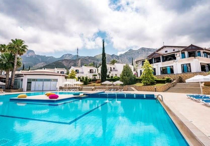 The Olive Tree Hotel Agios Epiktitos Zewnętrze zdjęcie