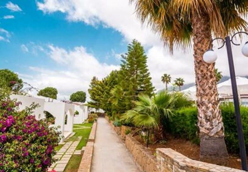 The Olive Tree Hotel Agios Epiktitos Zewnętrze zdjęcie