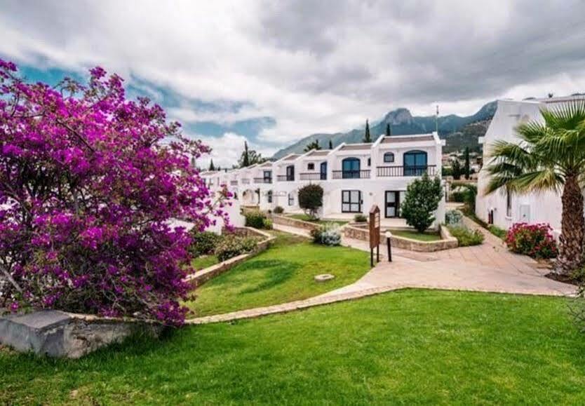 The Olive Tree Hotel Agios Epiktitos Zewnętrze zdjęcie