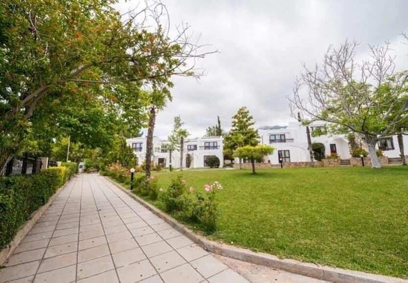The Olive Tree Hotel Agios Epiktitos Zewnętrze zdjęcie