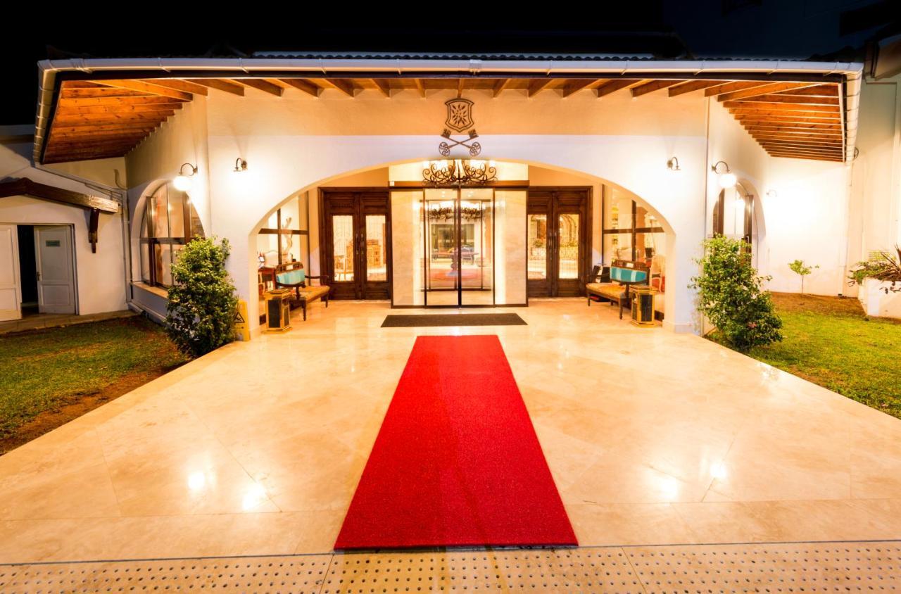 The Olive Tree Hotel Agios Epiktitos Zewnętrze zdjęcie