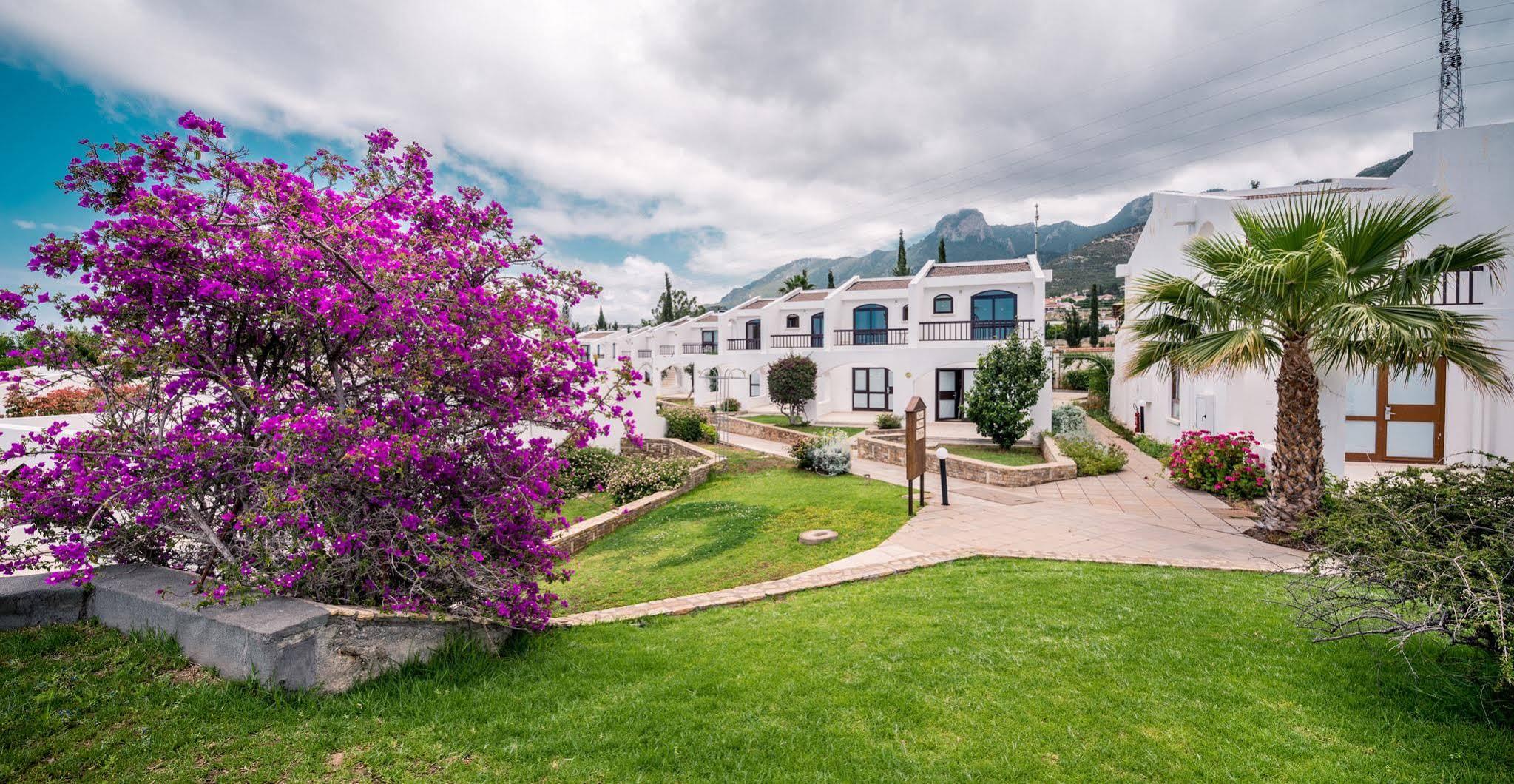 The Olive Tree Hotel Agios Epiktitos Zewnętrze zdjęcie